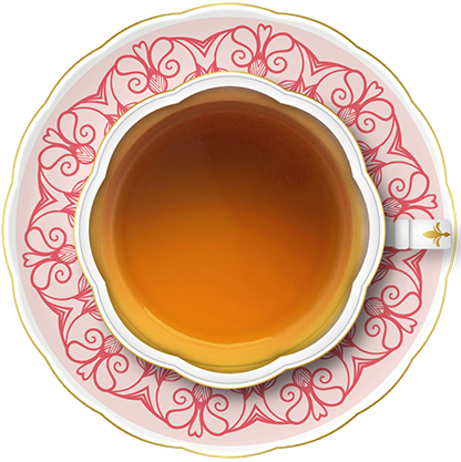Egyptian Chamomile