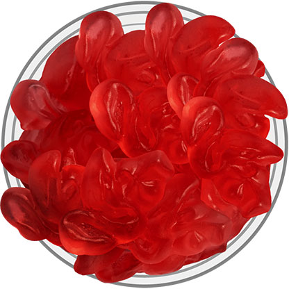 Gummy Flamingos